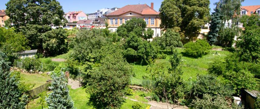 Aida Hotel - Gardens Aida Hotel - Gardens