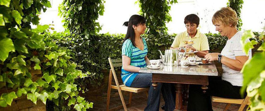 Belvedere Lodge - B&B - Terrace Belvedere Lodge - B&B - Terrace