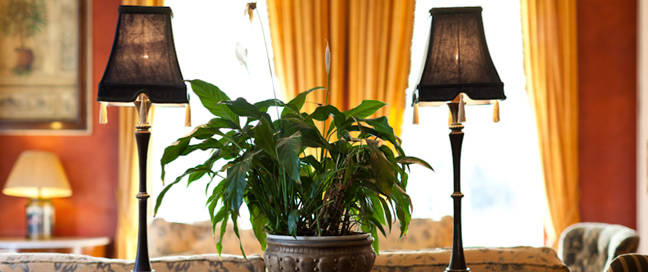 Butlers Town House - Lounge Detail