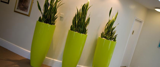 Chancellors Hotel - Reception Area Chancellors Hotel - Reception Area