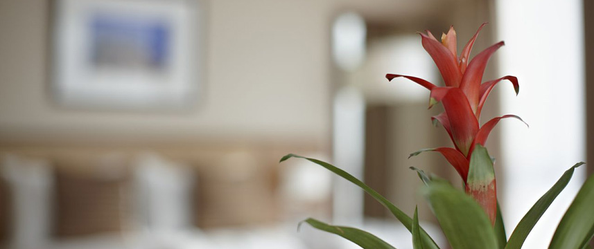 Crown Moran Hotel Flower Crown Moran Hotel Flower