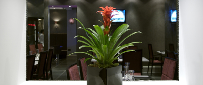 Enterprise - Restaurant view