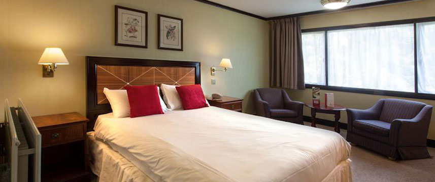 Europa Gatwick Hotel Double Room
