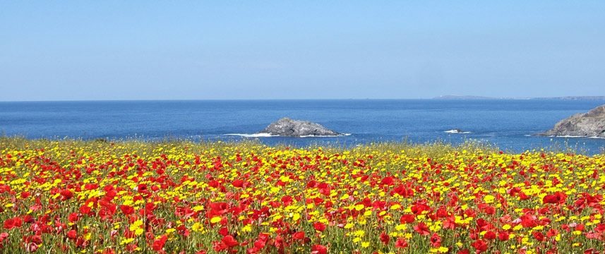 Fairbank Hotel - Beach Walk