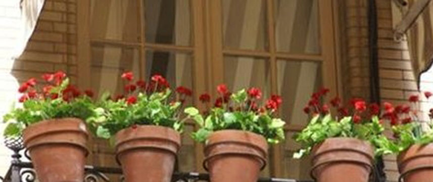 Hostal Van Gogh - Balcony Hostal Van Gogh - Balcony