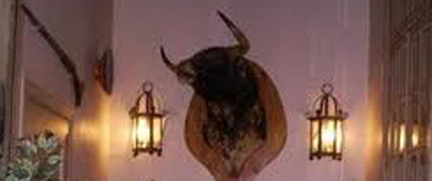 Hostal Van Goph Inside Hostal Van Goph Inside