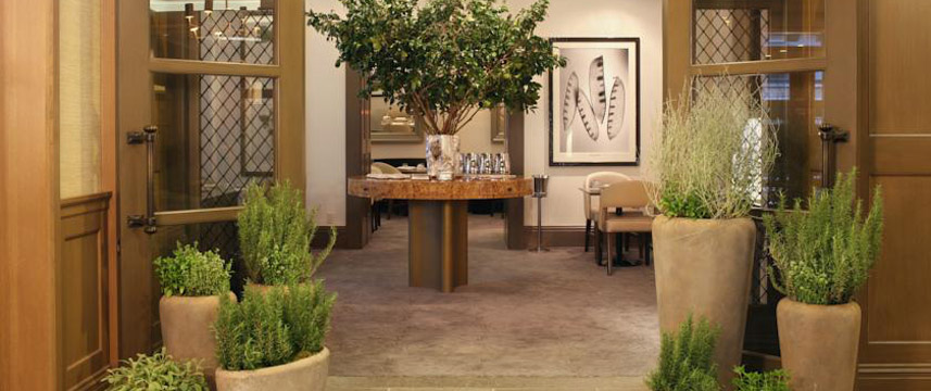 Hotel Chandler - Entrance Hotel Chandler - Entrance