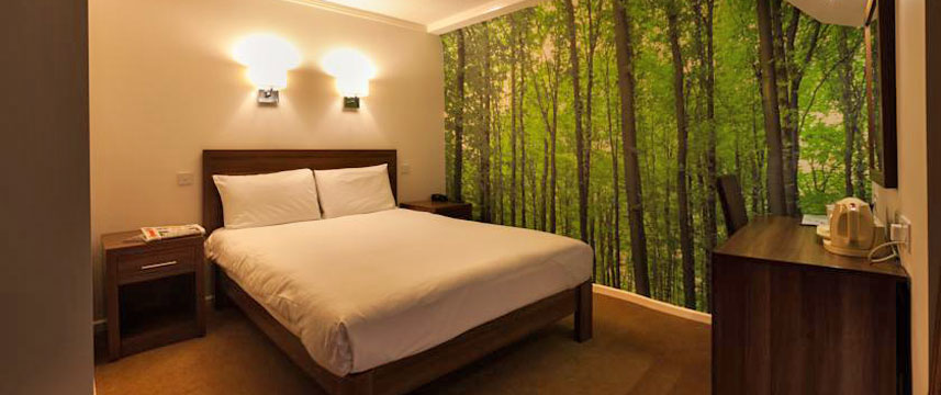 International Hotel - Double International Hotel - Double