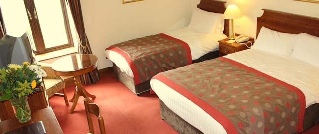 Kilmurry Lodge Hotel - Twin Room