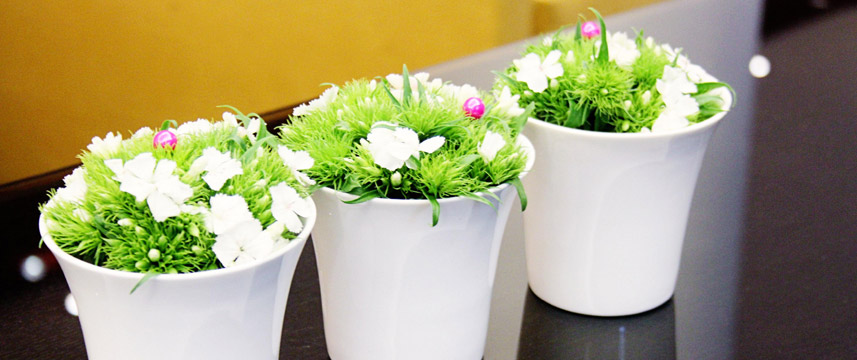 Le General - Detail Flower Le General - Detail Flower