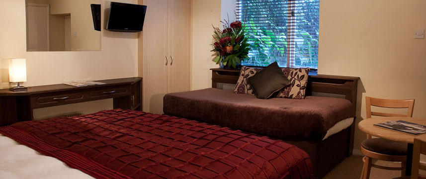 New Steine Guest House Room Double New Steine Guest House Room Double