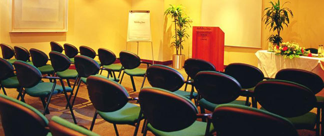 Pearse Hotel - Seminar Room