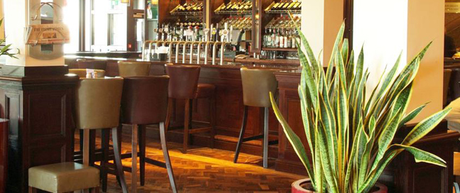 Red Cow Bar Red Cow Bar