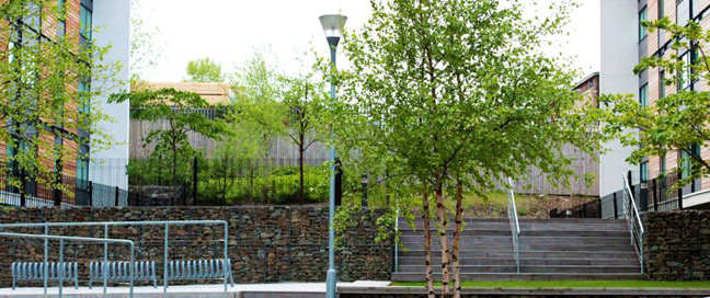 Rotana Apartments - Surroundings