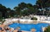 Sol Gavilanes