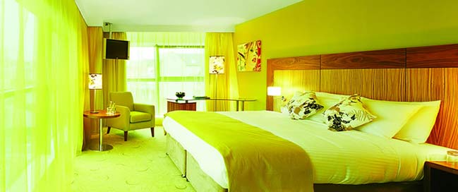 The Glasshouse - Junior Suite Room The Glasshouse - Junior Suite Room