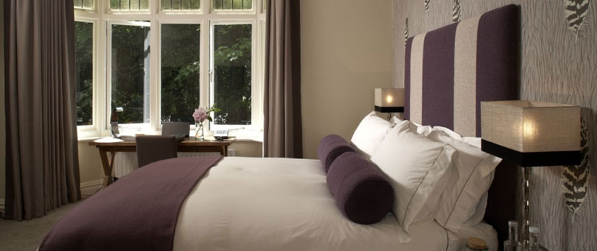 The Green House - Room The Green House - Room