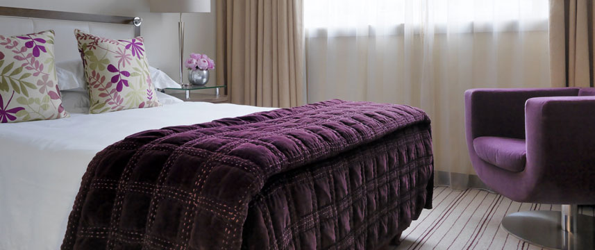 The Marylebone Standard Room The Marylebone Standard Room