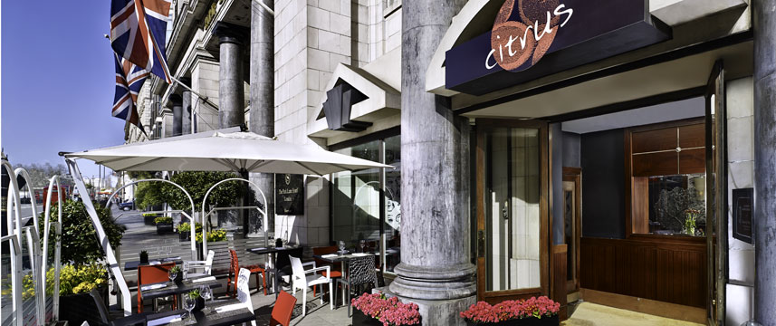 The Park Lane - Citrus Terrace