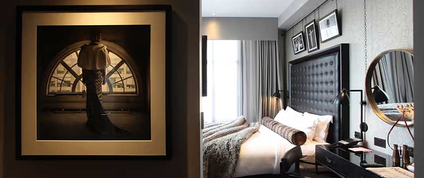 The Rex - Executive Room The Rex - Executive Room