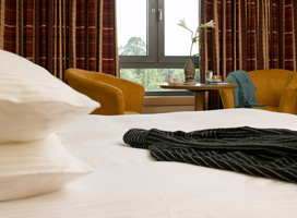 Bewleys Hotel Ballsbridge