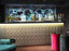 Cocktail Bar