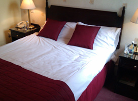 The Lucan Spa Hotel