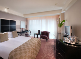 Park Plaza Riverbank London