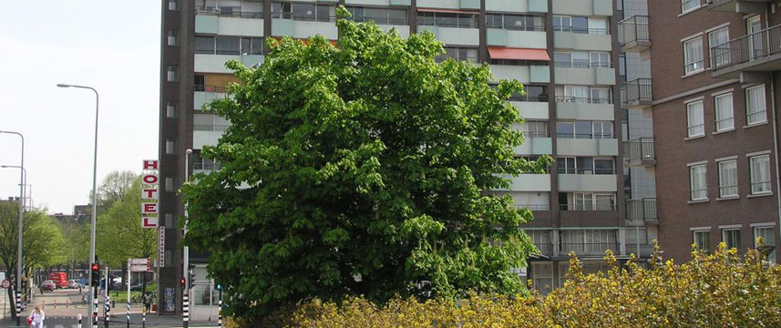 Belfort Hotel - Hotel Exterior