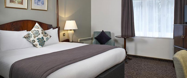 Copthorne Hotel London Gatwick - Club Double