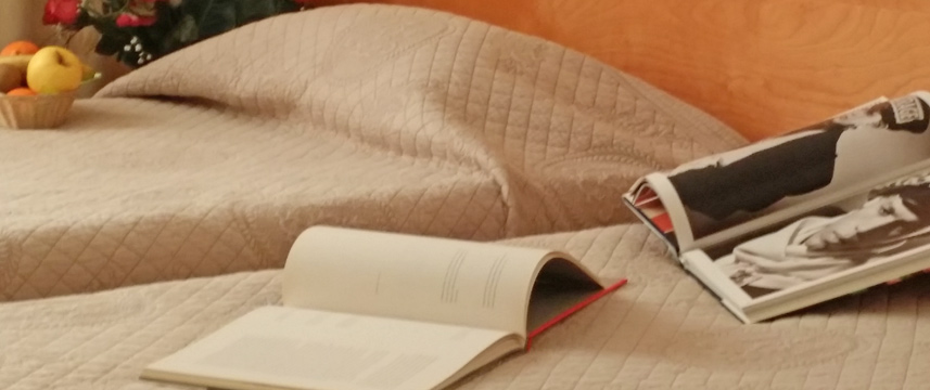 Eurohotel Paris Creteil Metro - Twin Details