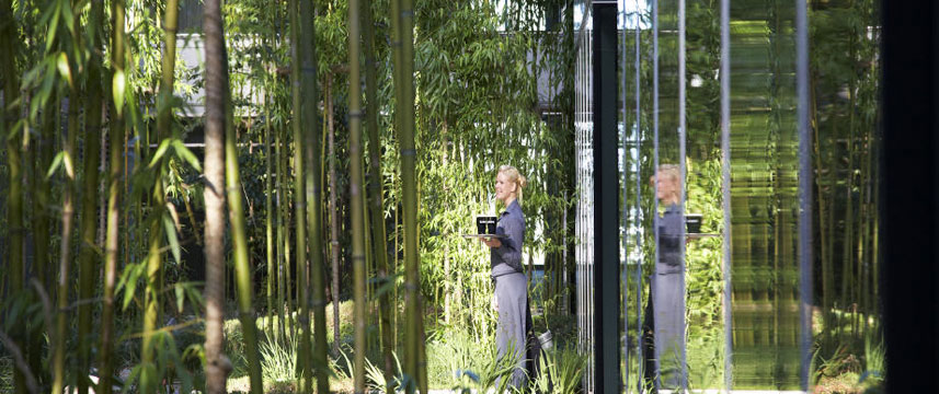 Gibson Hotel - Bamboo Garden