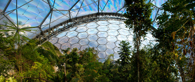 Greenacres Cottages - Eden Project