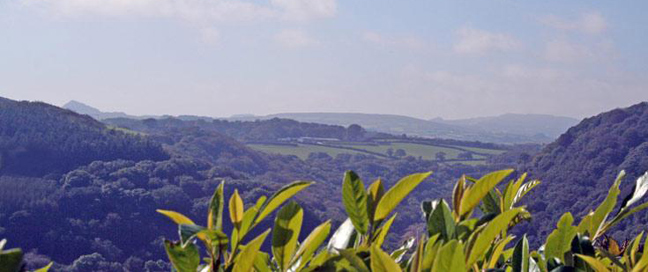 Greenacres Cottages - Surrounding Countryside