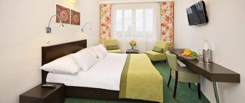 Hotel Vitkov - Double Room