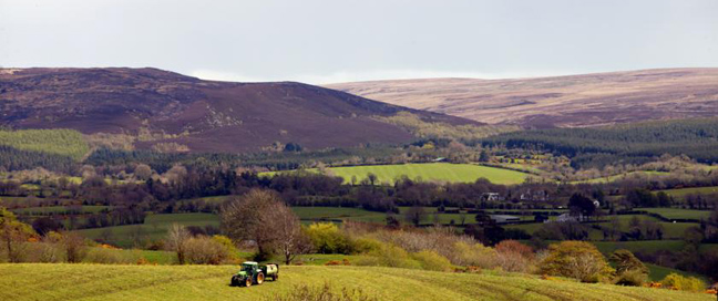 Valley Hotel Local Area