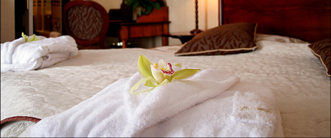 Villa Montparnasse - Bedroom